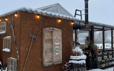 Willkommen in unserem Winterbeizli!❄